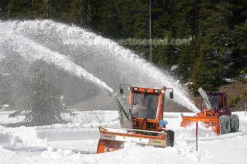 Nieve